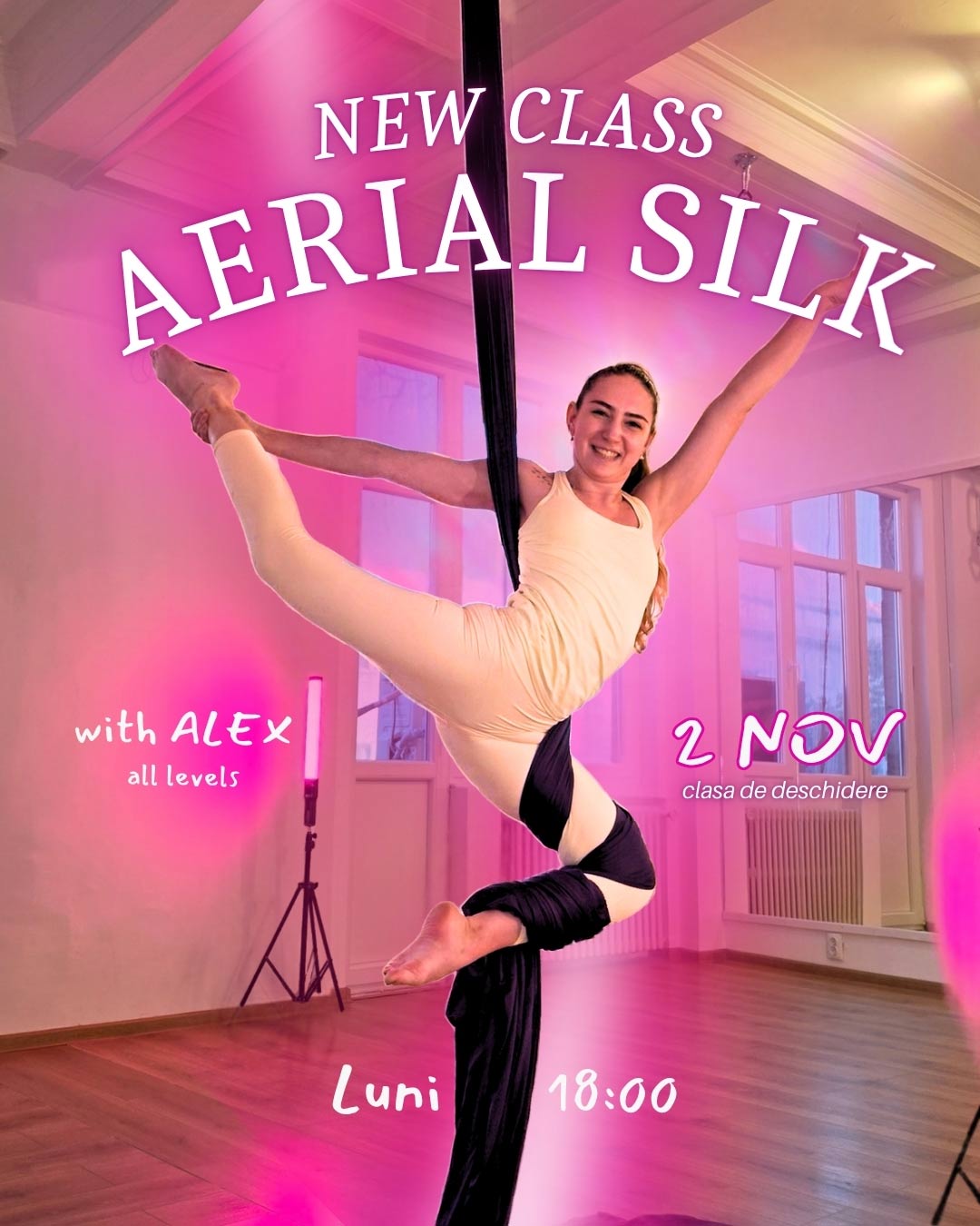 woman in a aerial silks pose